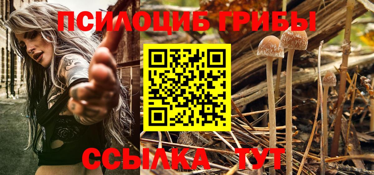 Галлюциногенные грибы GOLDEN TEACHER Надым